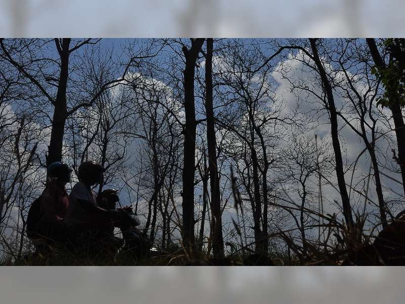 Musim Kemarau Datang, Kawasan Hutan Jati di Blora Rawan Kebakaran