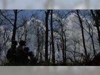 Musim Kemarau Datang, Kawasan Hutan Jati di Blora Rawan Kebakaran