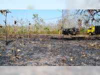 Minimalisir Potensi Kebakaran Hutan, Perhutani Blora Gunakan Aplikasi Android