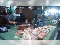 Harga Daging Ayam Potong dan Ayam Kampung Ikut Melambung