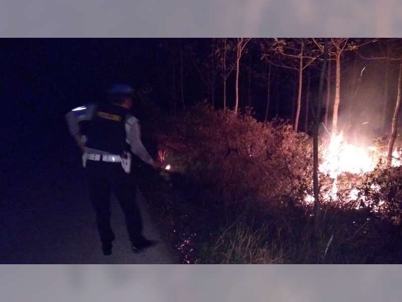 Lagi, Semak Belukar Hutan Jati di Ngasem Bojonegoro Terbakar