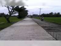 Pemkab Bojonegoro Anggarkan Rp 291 Miliar Untuk Perbaikan Jalan