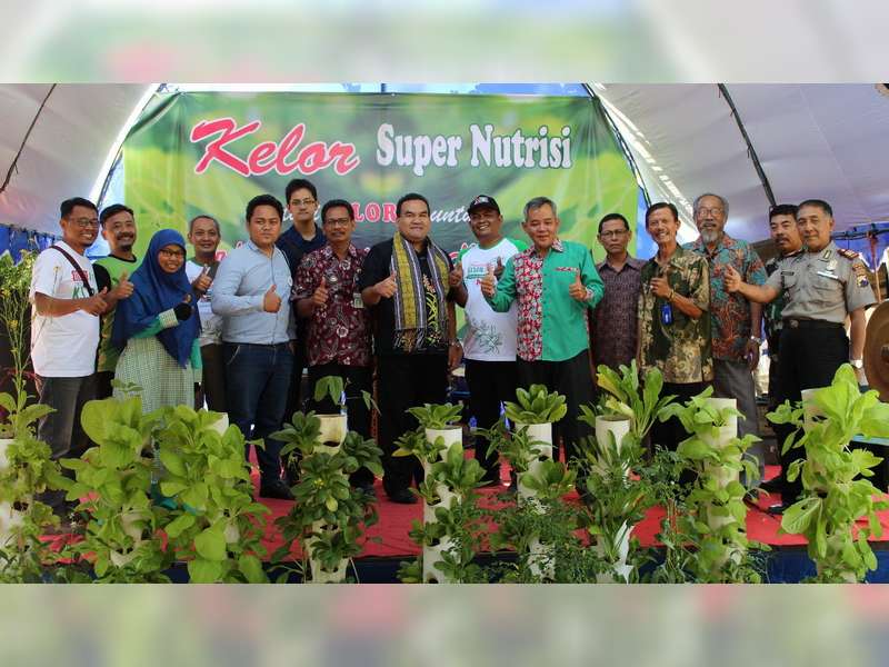 Festival Kelor Blora 2018, Tarik Ratusan Keloris Seluruh Indonesia