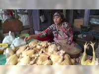 Harga Daging Ayam Terus Melambung Omset Pedagang di Bojonegoro Turun Drastis