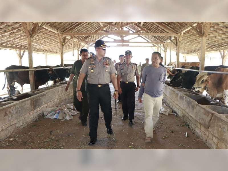 Jelang Iduladha, Kapolres Tuban Pantau Harga Sapi dan Pastikan Sapi Para Pedagang Sehat