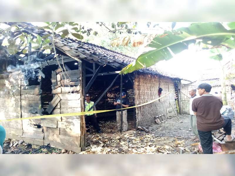 Diduga Akibat Bediang, Kandang Sapi Milik Warga Kenduruan Tuban Terbakar