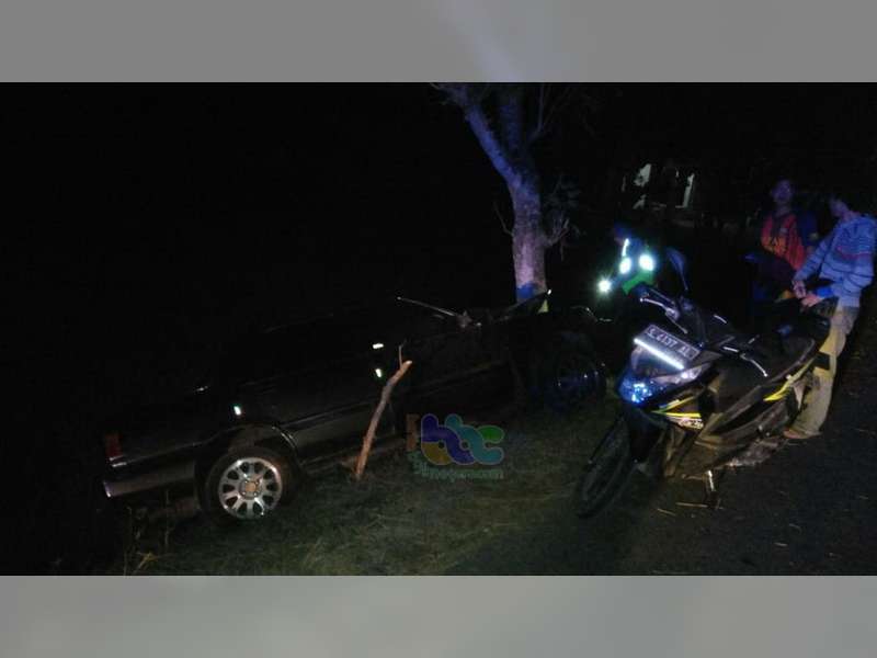 Sedan Tabrak Pohon Penghijauan di Gayam Bojonegoro, 2 Orang Luka Berat