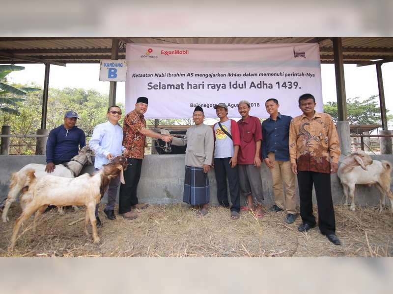 Karyawan EMCL Serahkan Hewan Kurban Pada Masyarakat Kecamatan Gayam