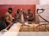 Satpol PP Lakukan Penggerebekan Produsen Miras Jenis Arak di Palang Tuban