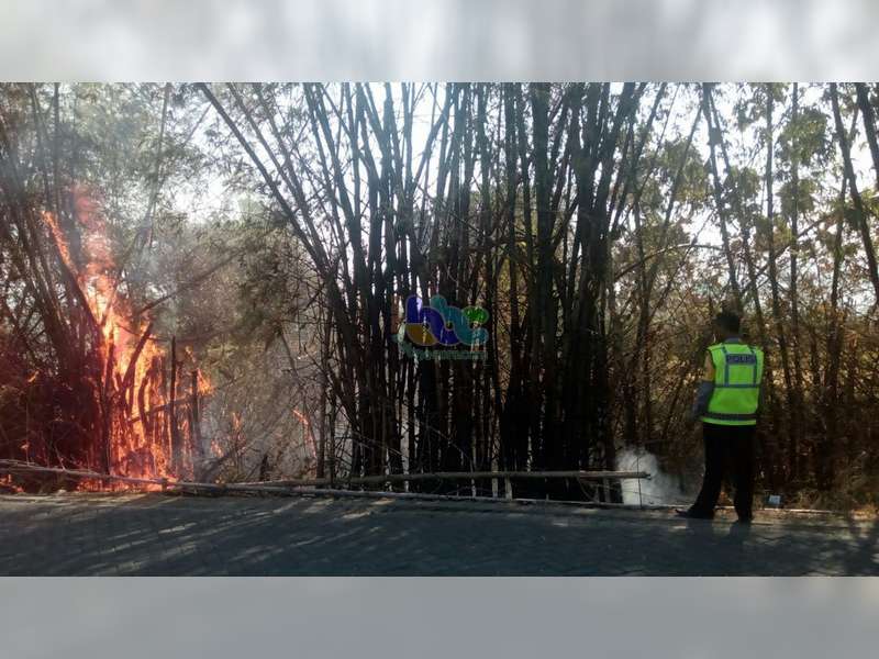 Waspada! Dalam 2 Hari, di Bojonegoro Terjadi 3 Kebakaran Semak dan Rumpun Bambu