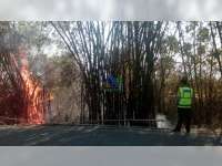 Waspada! Dalam 2 Hari, di Bojonegoro Terjadi 3 Kebakaran Semak dan Rumpun Bambu