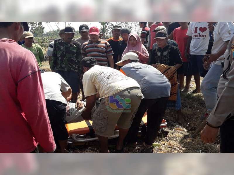 Diduga Lemah Jantung, Seorang Warga Gayam Bojonegoro Ditemukan Meninggal di Sawah