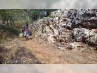 Kekeringan di Tuban Semakin Meluas