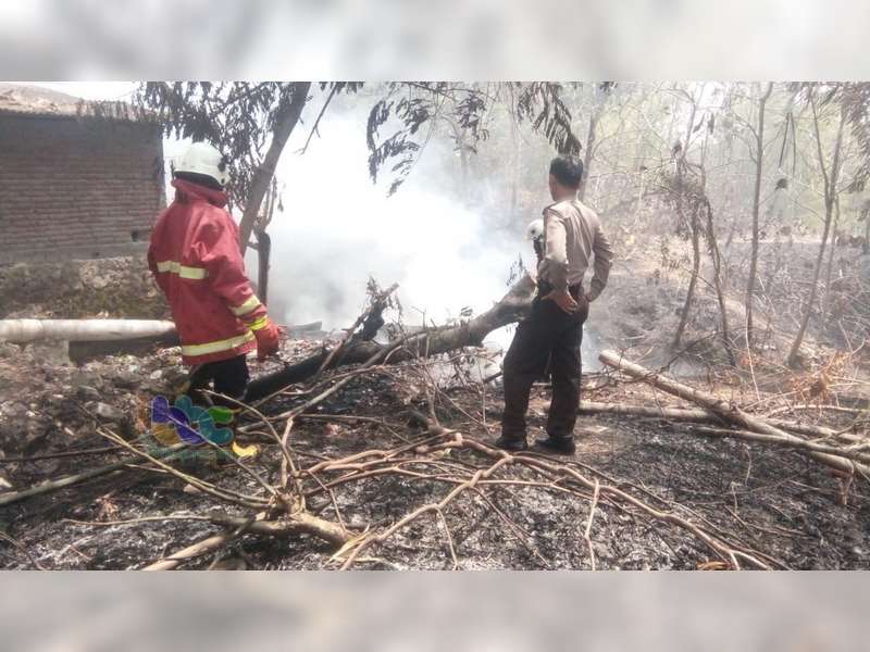 Kebakaran Semak Belukar Kembali Terjadi di Bojonegoro