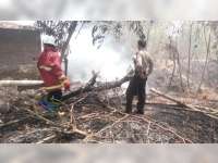 Kebakaran Semak Belukar Kembali Terjadi di Bojonegoro