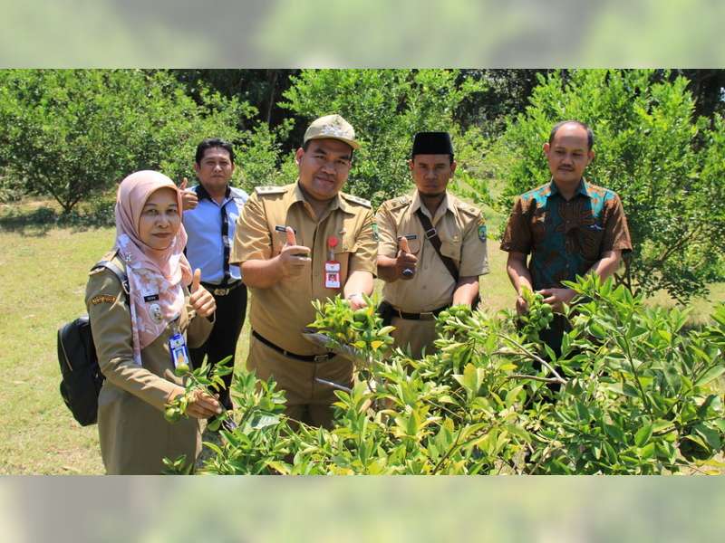 Wakil Bupati Blora Tinjau Tanaman Hortikulutra di Desa Pojok Watu