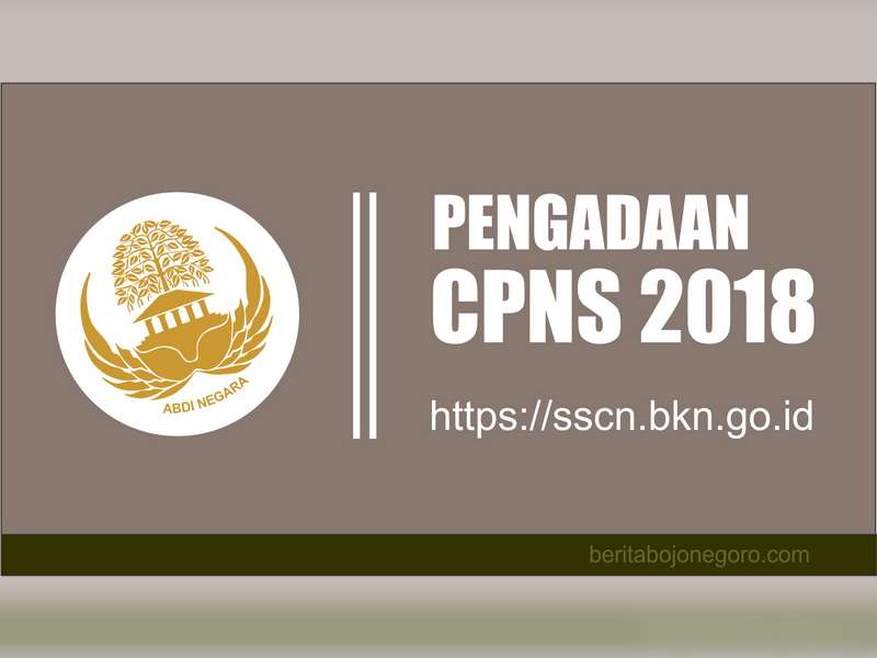 Pemerintah Buka 238 Ribu Formasi CPNS