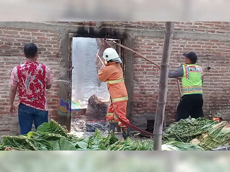 Lagi, Gudang Pengeringan Tembakau di Sugihwaras Bojonegoro Terbakar