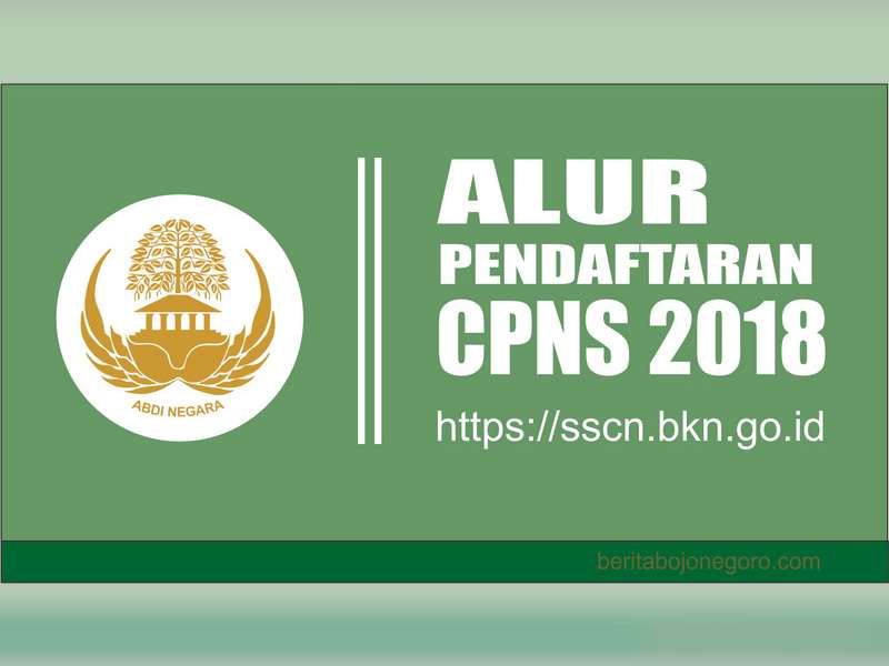 Inilah Alur Pendaftaran CPNS 2018