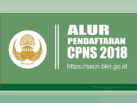 Inilah Alur Pendaftaran CPNS 2018