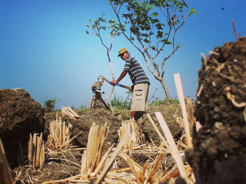 Tak Bisa Ditanami, Petani di Blora Jual Bongkahan Tanah Lahan Persawahan