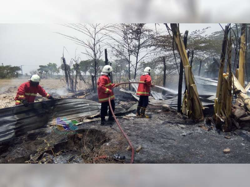 Bangunan Kandang Burung Puyuh Yang Telah Lama Kosong Di Dander