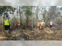 Kebakaran Semak Terjadi di Baureno Bojonegoro, Diduga Akibat Pembakaran Sampah