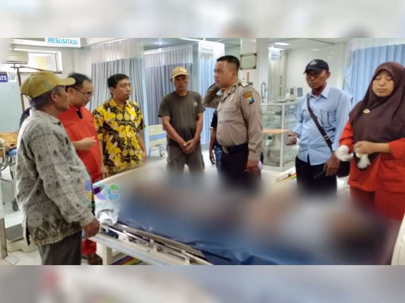 Jatuh Dari Pohon Kersen, Warga Balen Bojonegoro Meninggal Dunia