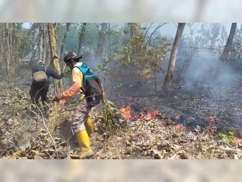 Hari Ini, di Kawasan Hutan Pakah Tuban, Terjadi Kebakaran di Tiga Lokasi