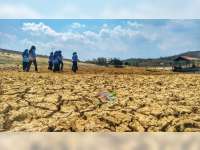 Kemarau Panjang, Waduk Tempuran&nbsp; Blora Mulai Mengering