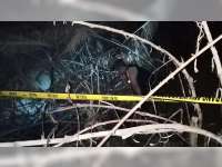 Kerangka Tengkorak Ditemukan Warga di Dasar Jurang di Kawasan Hutan Blora