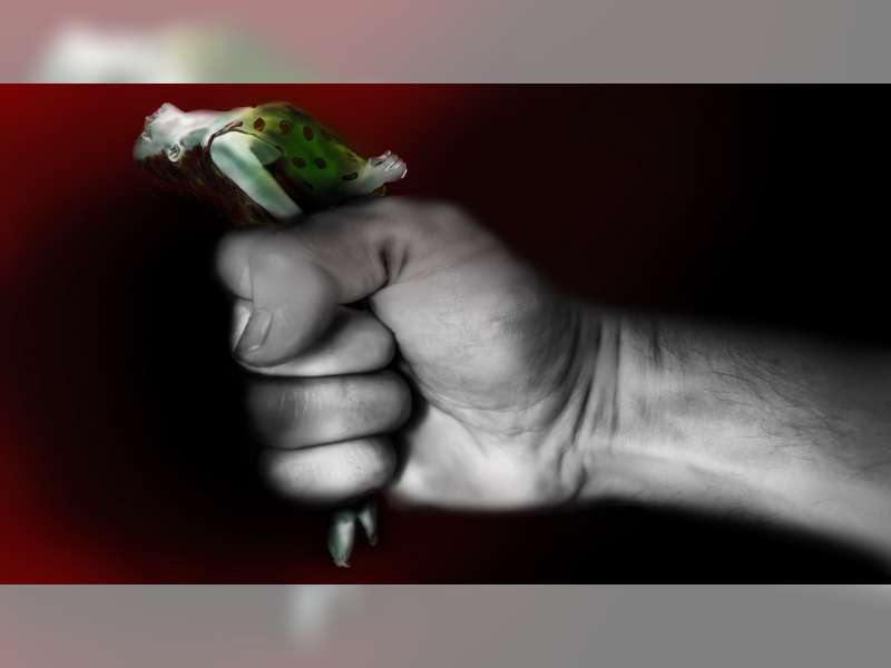 Paradigma dan Lumpuhnya Asusila