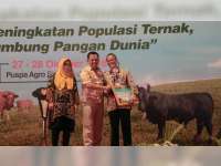 Kabupaten Tuban Raih 5 Penghargaan Bidang Peternakan Tingkat Provinsi Jatim