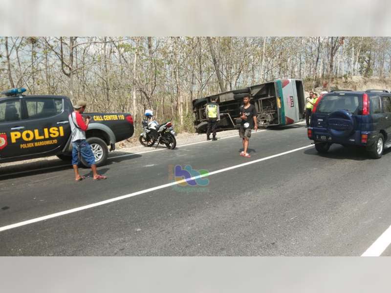 Bus Cendana Terguling di Margomulyo Bojonegoro, 2 Orang Penumpang Luka-Luka