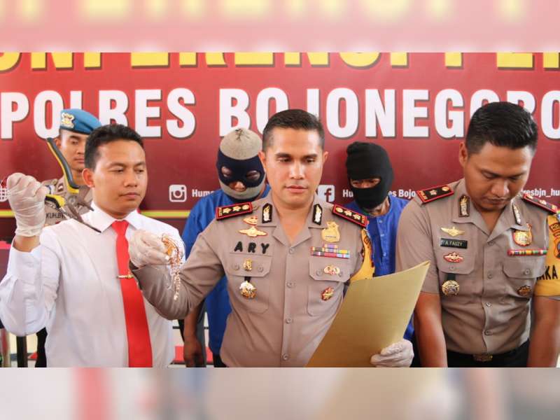 Terlibat Pencurian, Seorang Oknum Kades di Tuban Ditangkap Polisi Bojonegoro