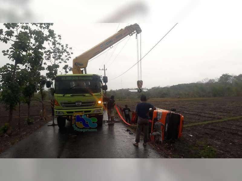 Jalanan Licin, Isuzu Elf di Gayam Bojonegoro Tergelincir dan Terguling ke Sawah