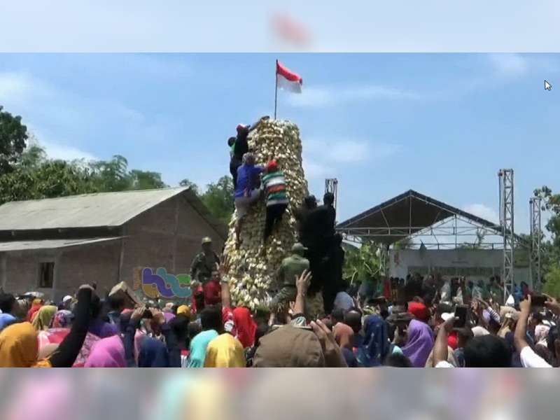 Semarak, Ratusan Warga Berebut Gunungan Belimbing