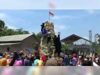 Semarak, Ratusan Warga Berebut Gunungan Belimbing