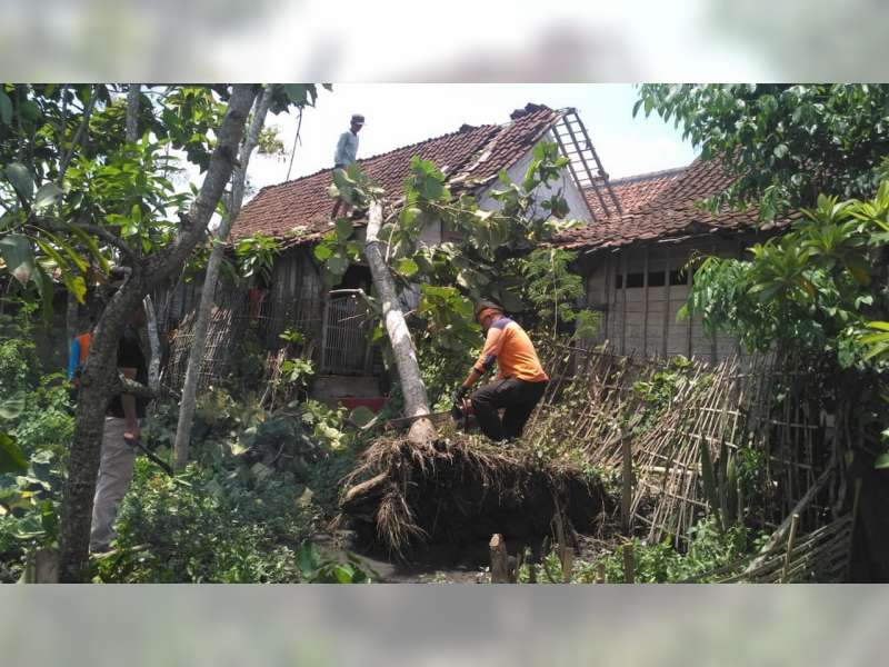 Usia Hujan Deras Disertai Angin, Aparat dan Warga di Blora Lakukan Kerja-bakti