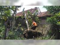 Usia Hujan Deras Disertai Angin, Aparat dan Warga di Blora Lakukan Kerja-bakti