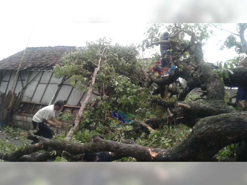 5 Rumah dan 2 Kandang di Gondang Bojonegoro Roboh Diterjang Angin