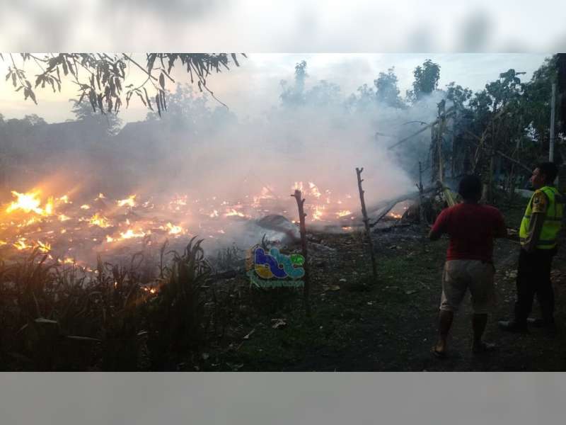 Rumah Warga Tambakrejo Bojonegoro Ludes Terbakar, Kerugian Diperkirakan Capai 250 Juta