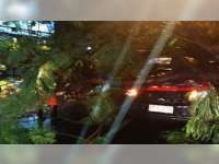 Hujan Disertai Angin Kencang Landa Kota Tuban. Mobil Wabup Jepara Ringsek Tertimpa Pohon