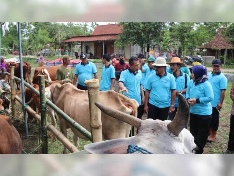 Disnakikan Blora Panen Pedet di Palon, Penyumbang Sapi Terbanyak di Jawa Tengah