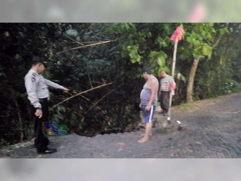 Akibat Hujan Deras, Jalan Poros Desa di Purwosari Bojonegoro Longsor