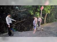 Akibat Hujan Deras, Jalan Poros Desa di Purwosari Bojonegoro Longsor