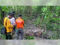Kerangka Manusia Ditemukan Warga di Hutan Temayang Bojonegoro