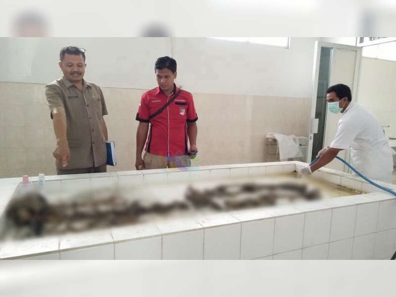 Kerangka yang Ditemukan di Hutan Temayang Bojonegoro, Diduga Seorang Gelandangan