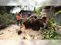 Dapur Milik Warga Ngasem Bojonegoro Rusak Tertimpa Rumpun Bambu Roboh