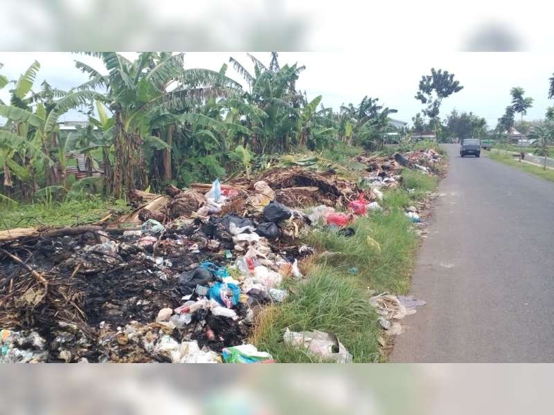 Sampah Disertai Bau Busuk di Pinggir Jalan Desa Mulung Merakurak Tuban, Dikeluhkan Warga